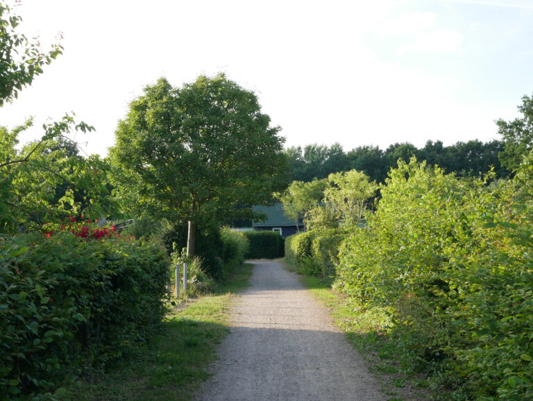 P1090062
