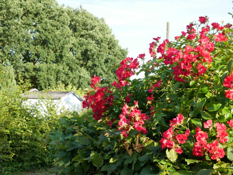 P1090087