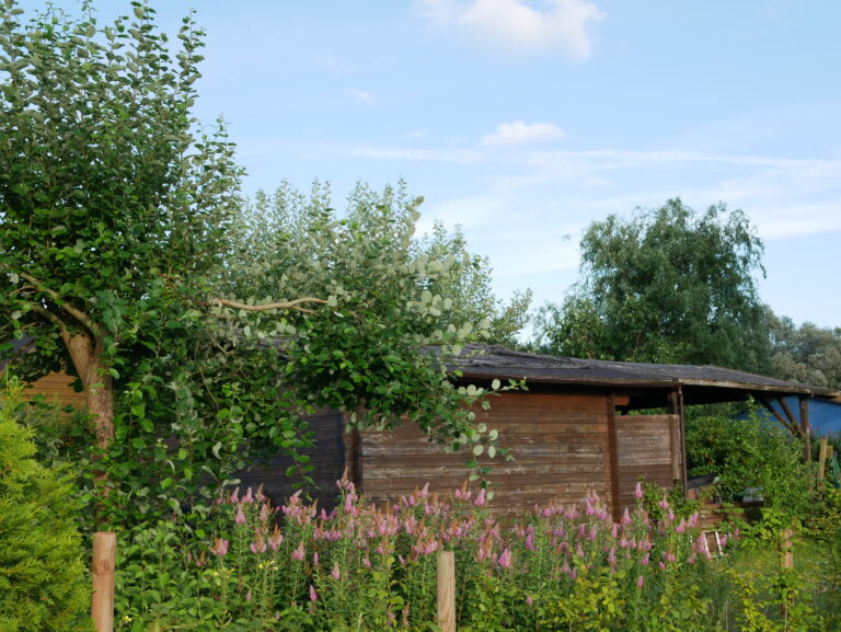 P1090152